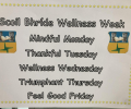 Scoil Bhríde’s Wellness Week 2022